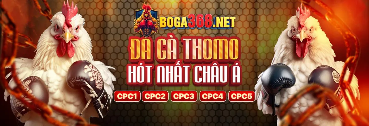 Đá gà trực tuyến kịch tính tại 222wim win